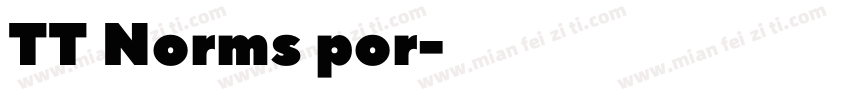 TT Norms por字体转换